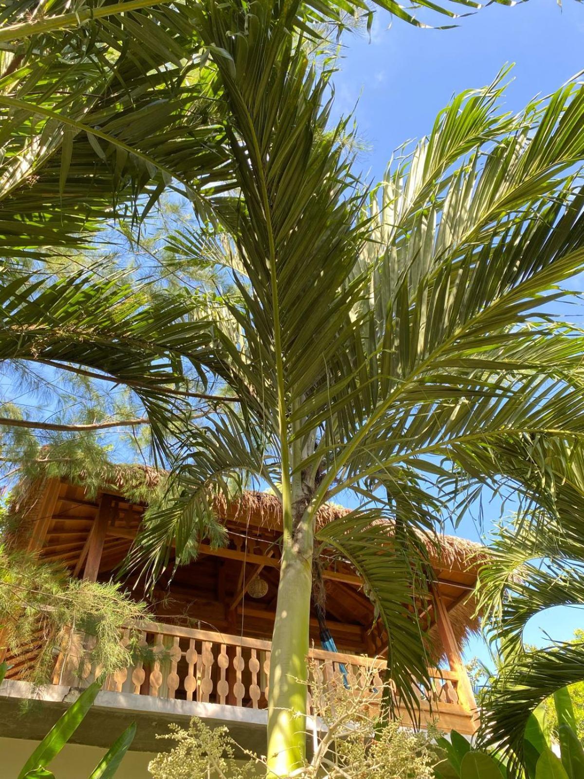 Palm Green Hotel Kuta  Екстериор снимка